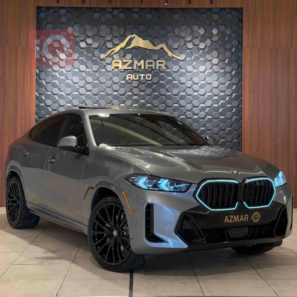 BMW X6